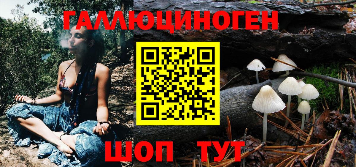 Галлюциногенные грибы Cubensis  Вход с VPN  Владивосток 